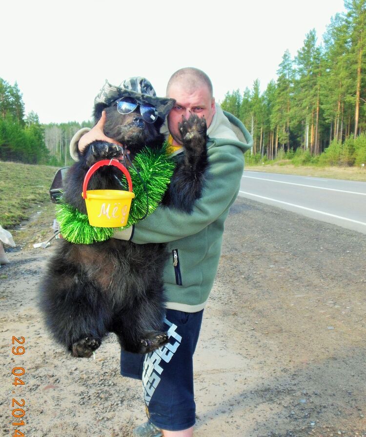 ���� 4359699 ������� �����, 41 ���, ���� ���������� � ��������