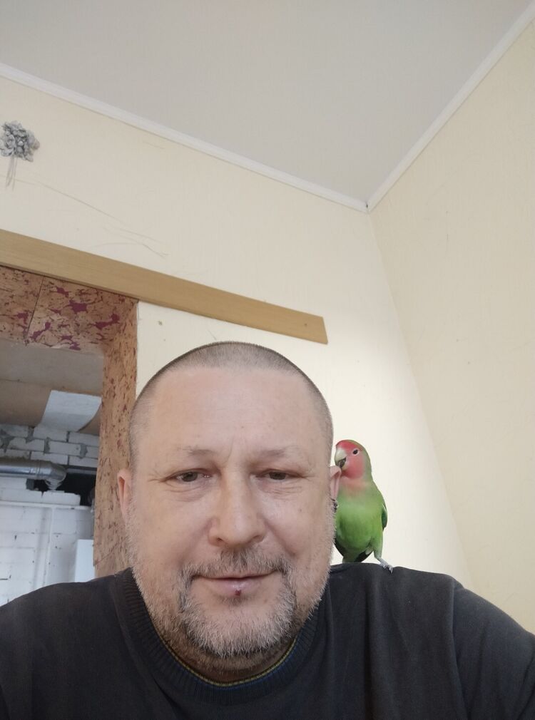 ���������� �������, ���� ������� �������, 40 ���, ������������ ��� ������, ����� � ���������, c�������� ���������