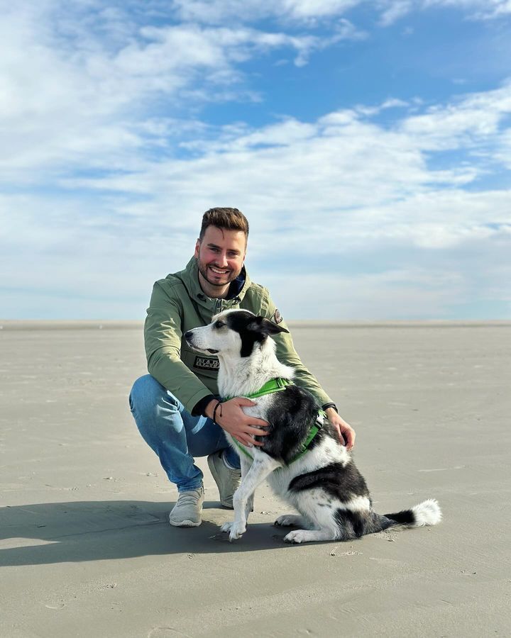 ���������� ������, ���� ������� �����, 31 ���, ������������ ��� ������, ����� � ���������, c�������� ���������, ���������