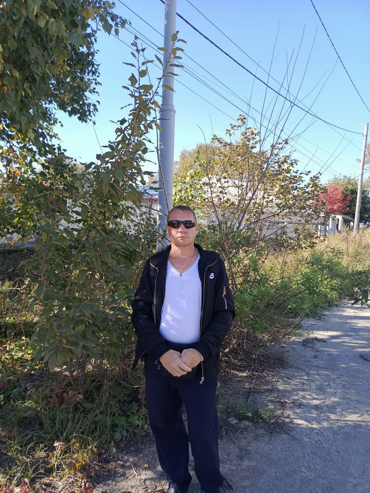  53792619  , 46 ,    -