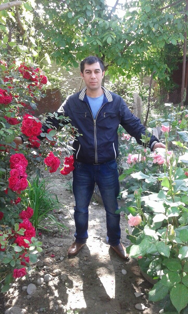 ���� 8866859 ������� Elik, 38 ���, ���� ���������� � ������