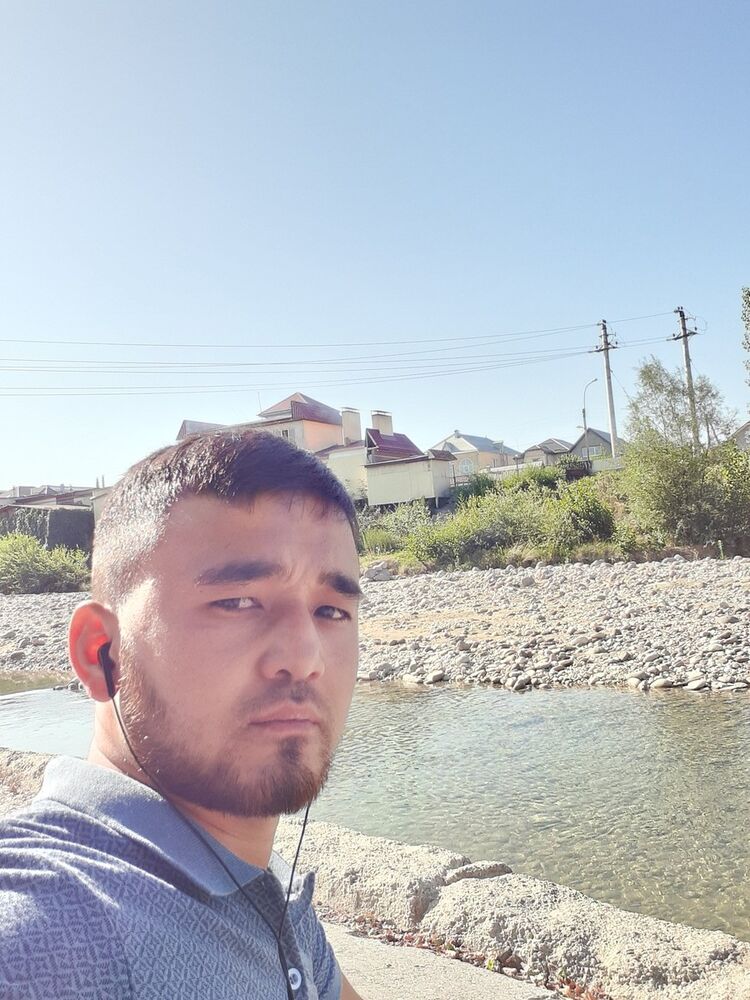  17268379  , 31 ,    