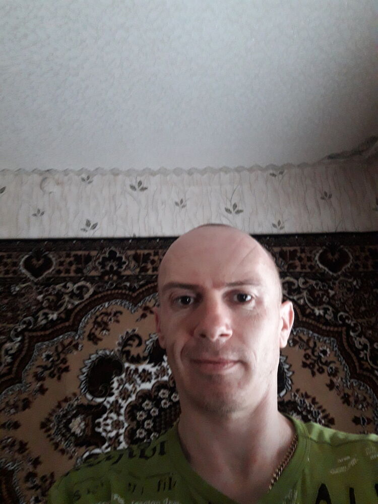  15537659  , 43 ,    