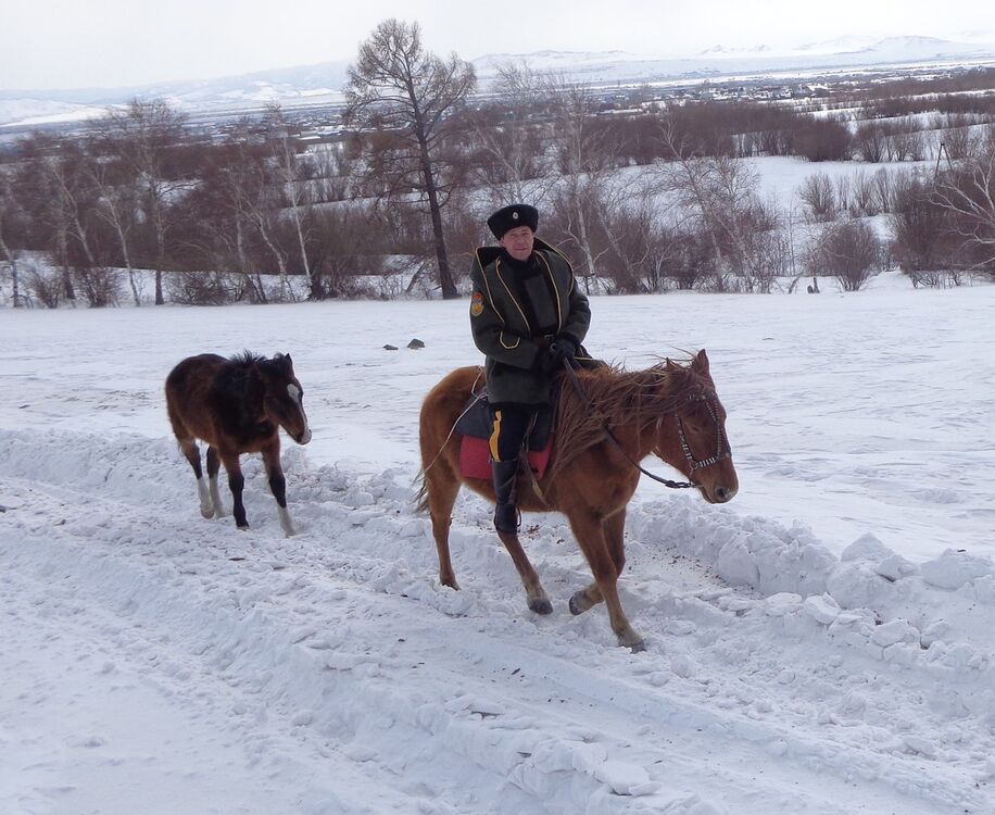  7246379  , 50 ,    -