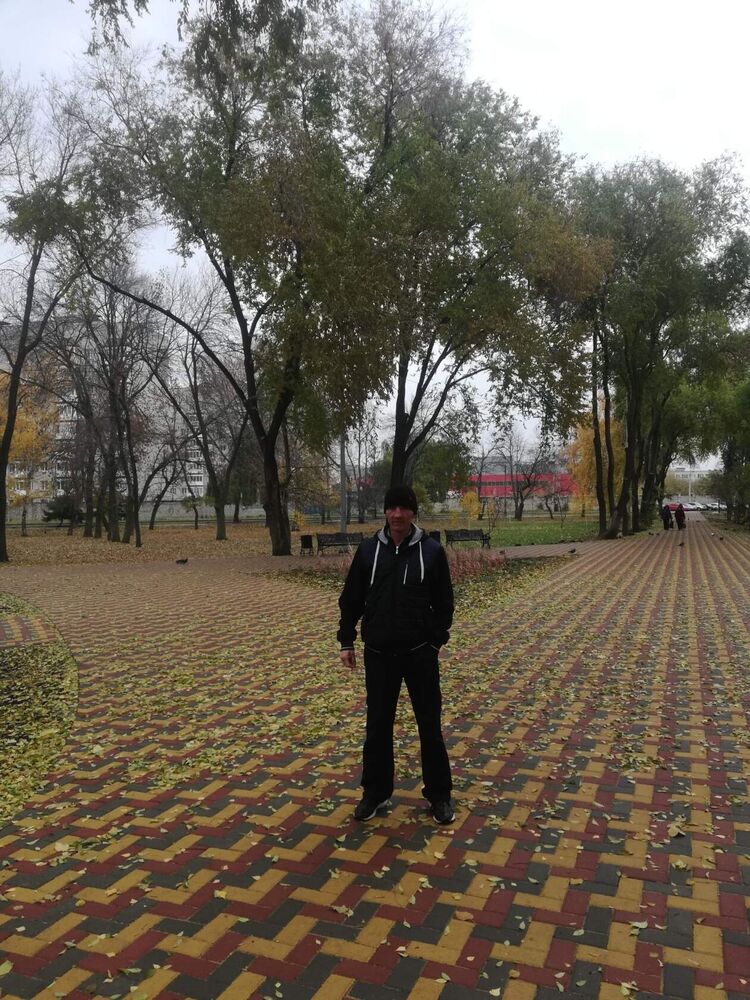 ���� 33381609 ������� ������, 45 ���, ���� ���������� � �������������