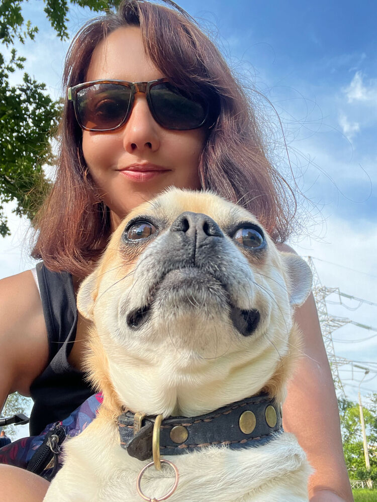 ���������� �����-���������, ���� ������� ����, 39 ���, ������������ ��� c�������� ���������, ���������