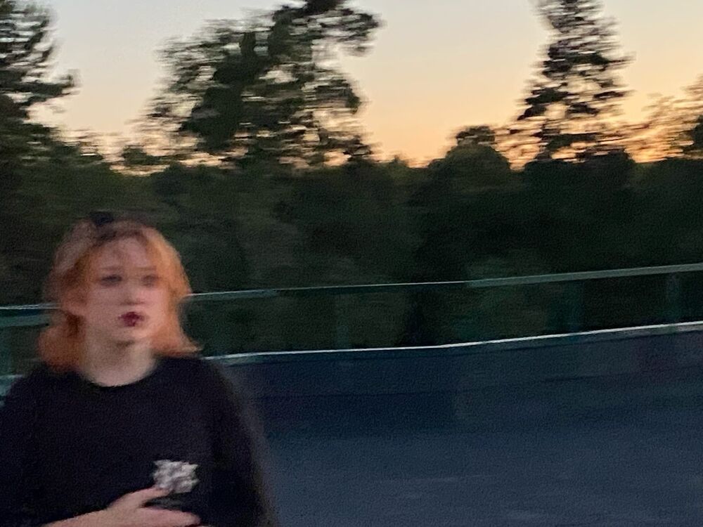  31831819  , 26 ,    -