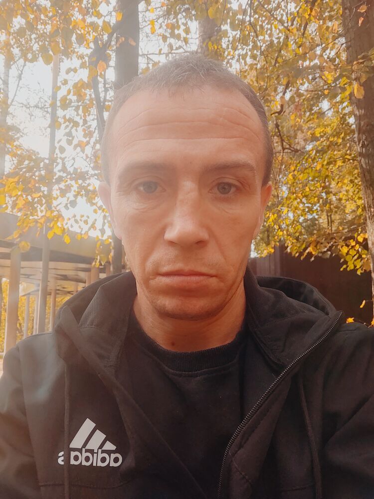  46291309  , 38 ,    