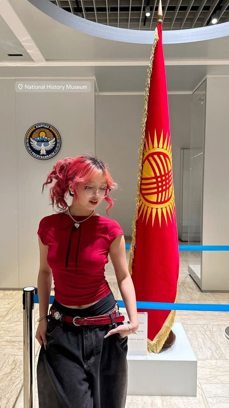  49550729  , 19 ,    