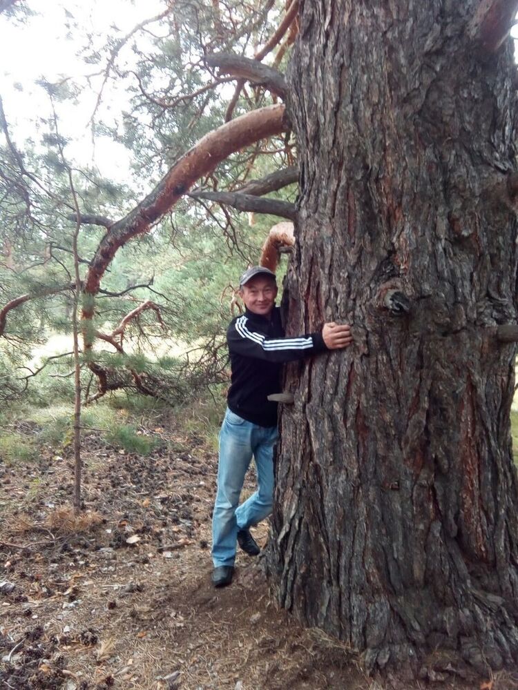 ���������� ��������, ���� ������� ������, 49 ���, ������������ ��� ������, ����� � ���������, c�������� ���������