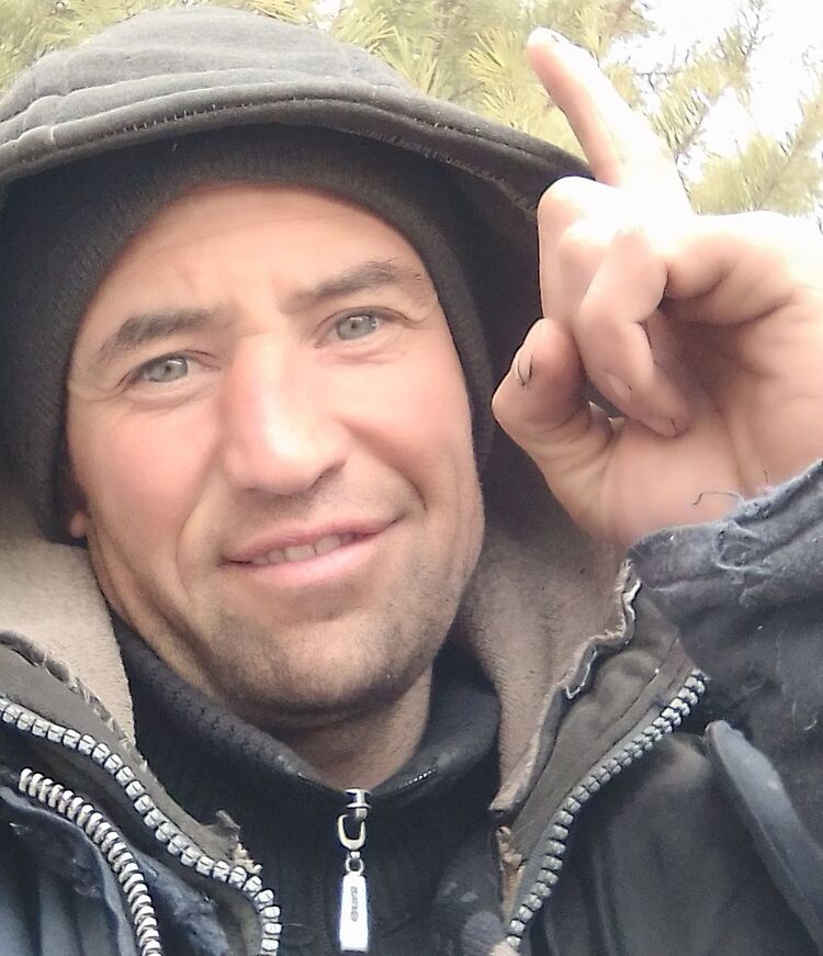 ���� 43082269 ������� ������, 40 ���, ���� ���������� � �����������