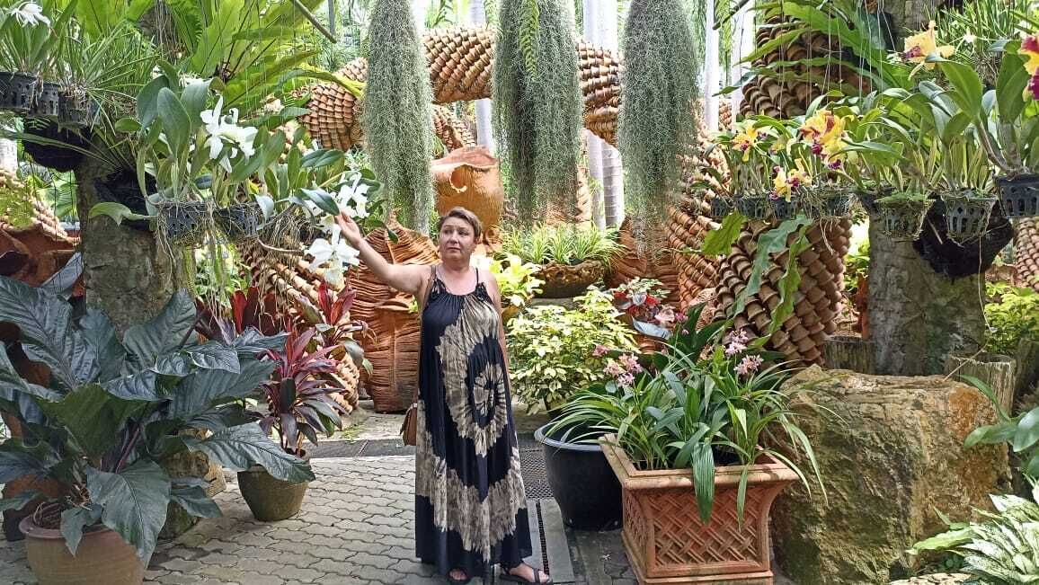  50325759  , 59 ,    -