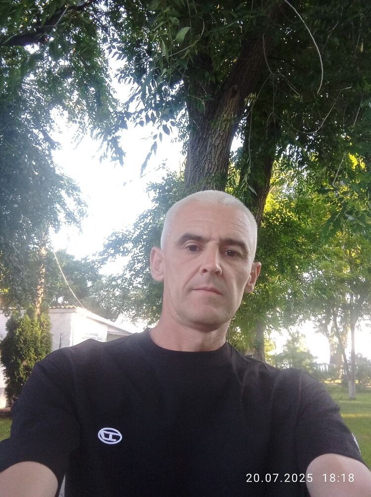  53463109  , 43 ,     