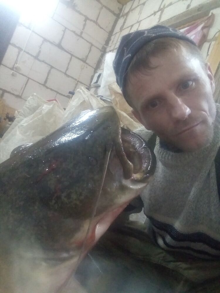  21715009  , 44 ,     