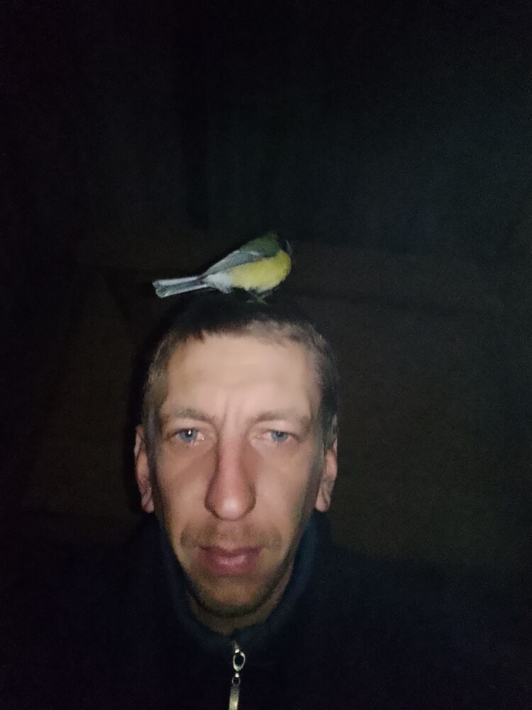  45141829  , 35 ,    