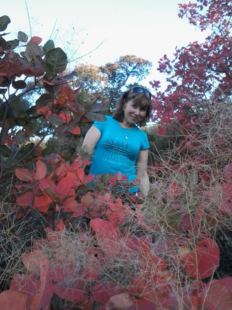  ,   , 54 ,     , c 