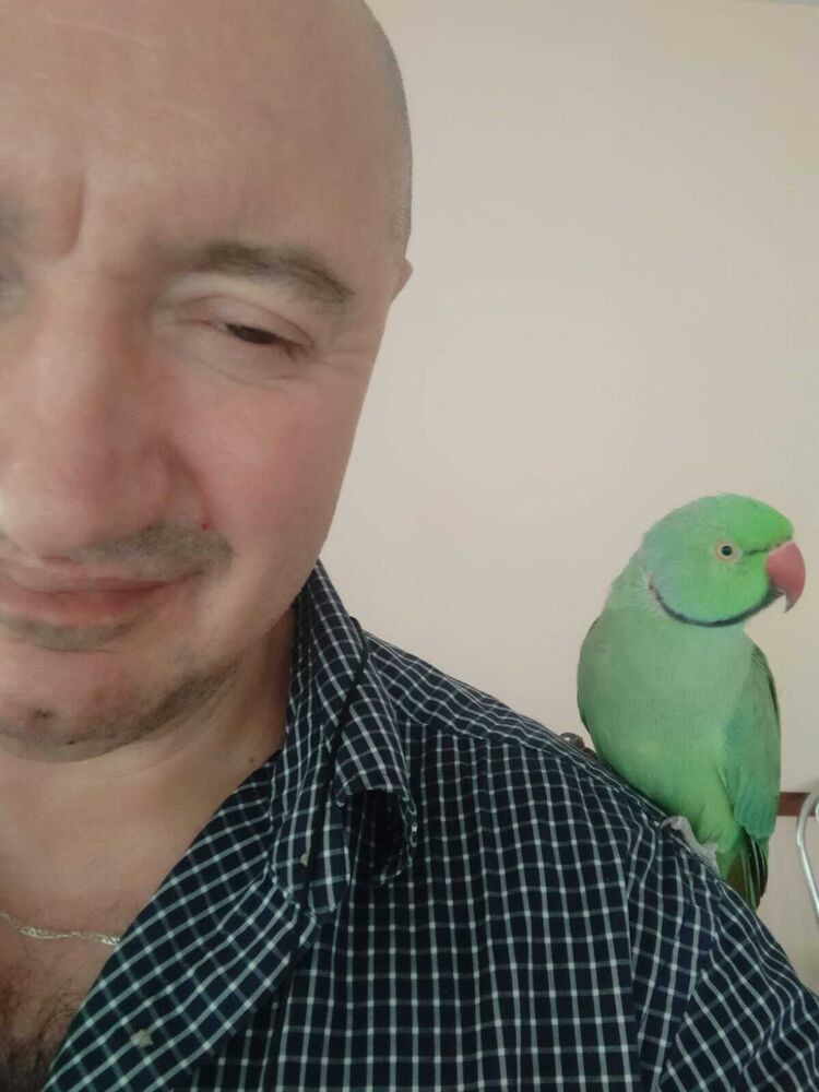  ,   , 55 ,   