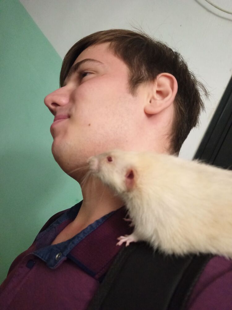 ���� 37373419 ����� Alias, 22 ����, ���� ���������� � ���������