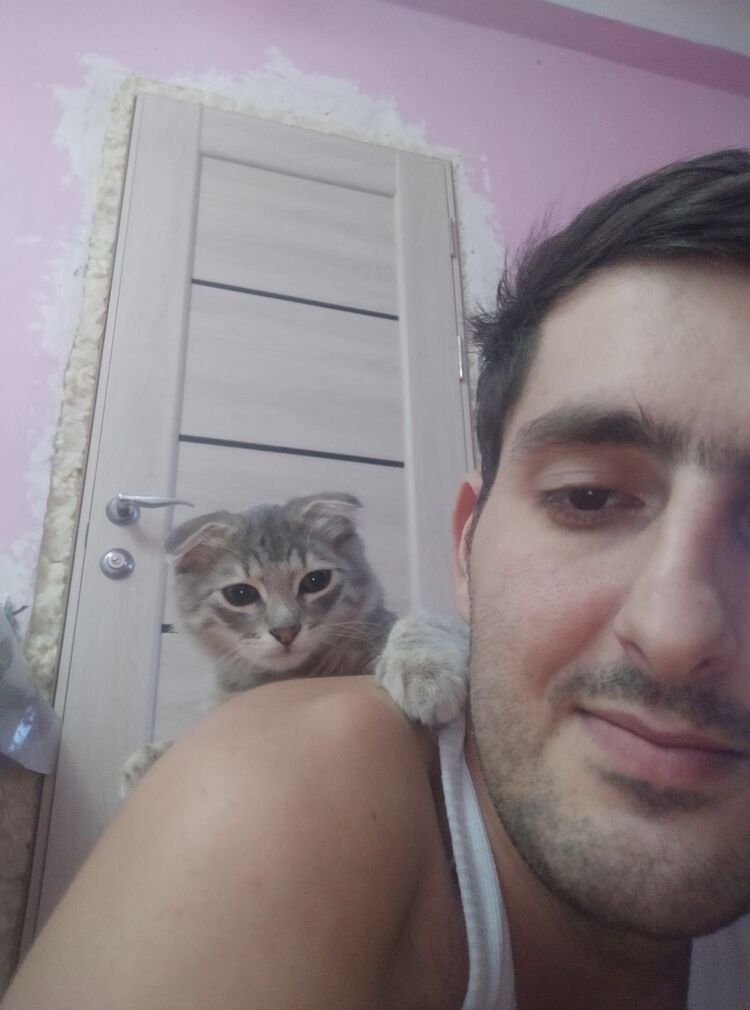  ,   , 30 ,   ,   , c , 
