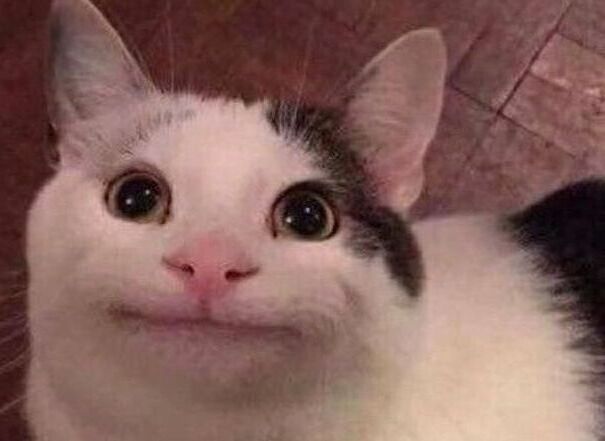 ���� 42817749 ����� Ilia, 20 ���, ���� ���������� � ������