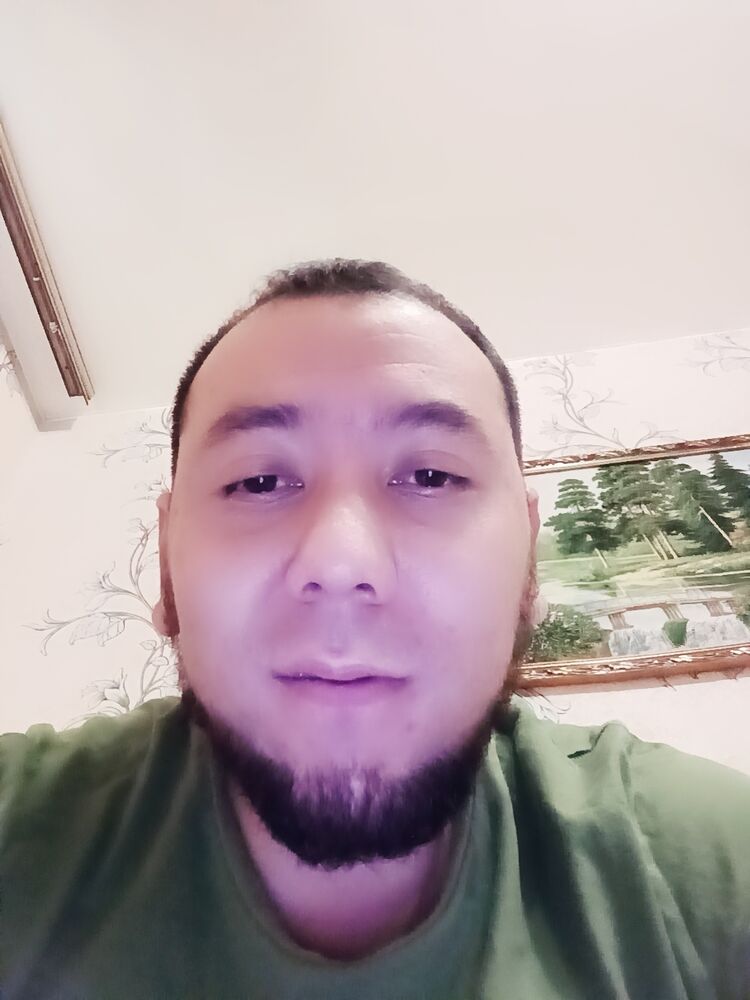  30564619  , 31 ,    