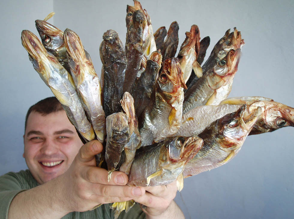 ���� 16539239 ������� Bob, 46 ���, ���� ���������� � ��������������-����������