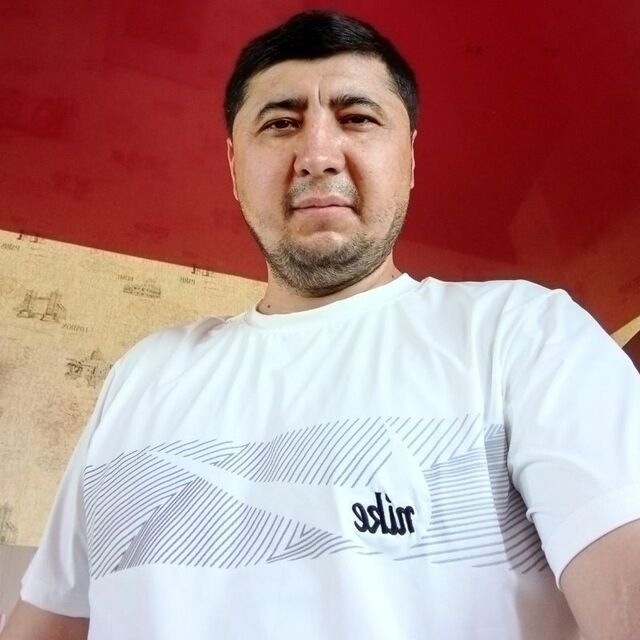  43391019  , 34 ,    