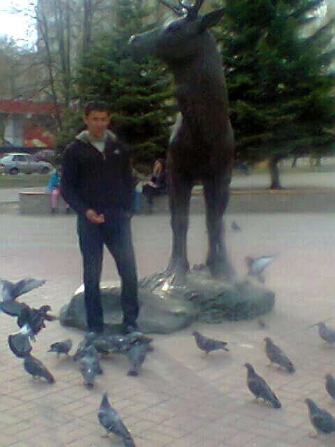 ���������� ������, ���� ������� Islom, 39 ���, ������������ ��� ������, ����� � ���������