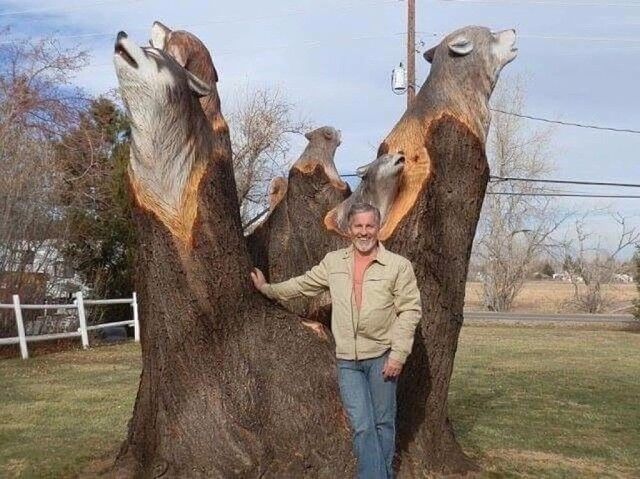 ���� 8768959 ������� ����, 38 ���, ���� ���������� � �����-����������