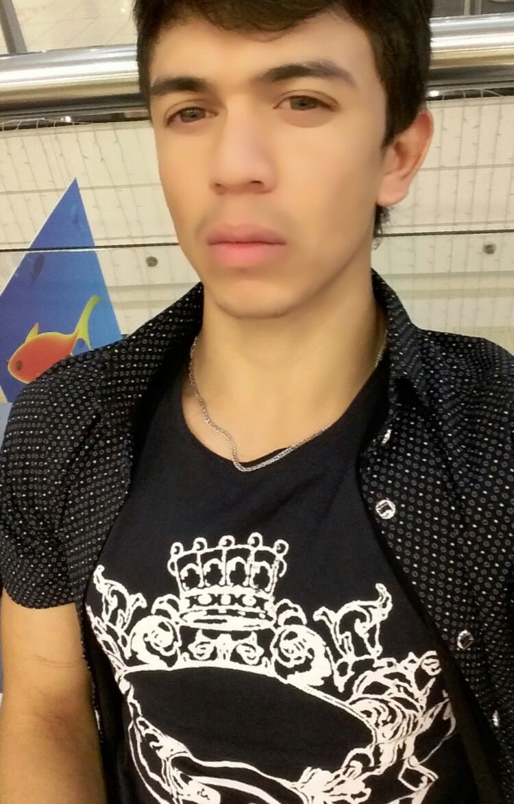 ���� 8018859 ������� DONYOR, 31 ���, ���� ���������� � �������-�����