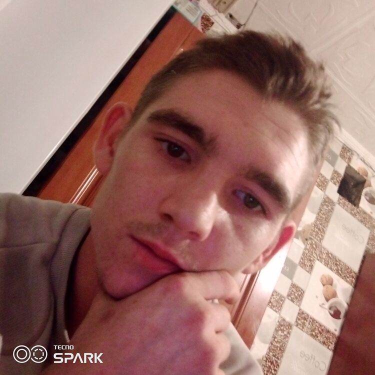  31058379  , 24 ,    