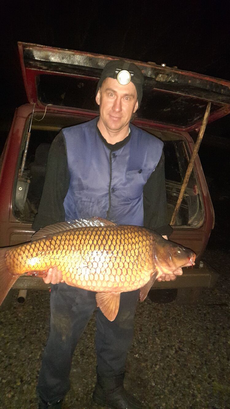 ���������� ���������, ���� ������� ����, 44 ����, ������������ ��� ������, ����� � ���������