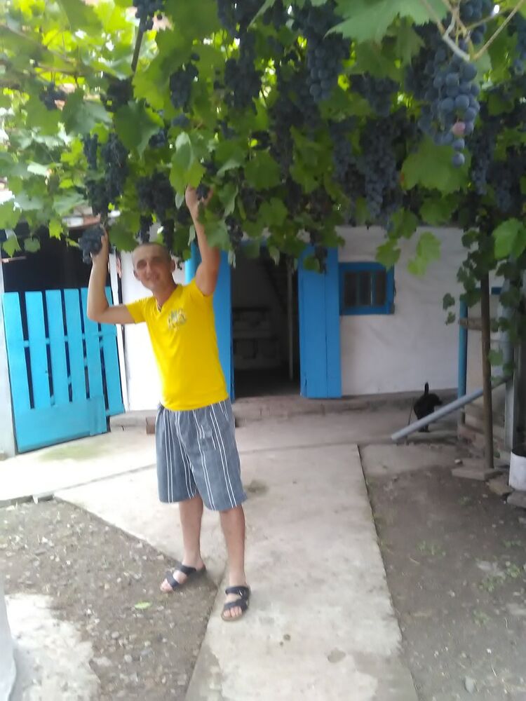  13459429  , 46 ,    