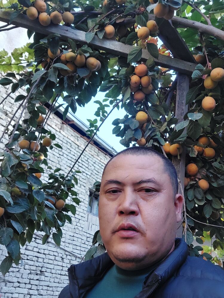  ,   Farrux, 36 ,   ,   