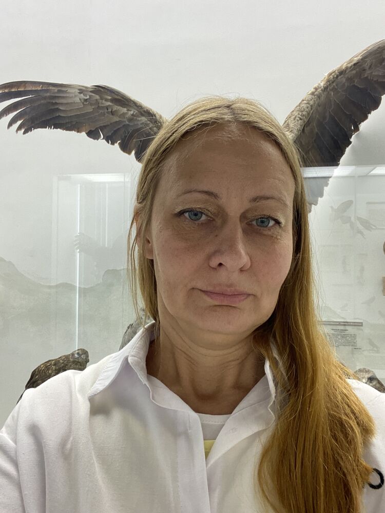 ���������� �����������, ���� ������� �����, 46 ���, ������������ 