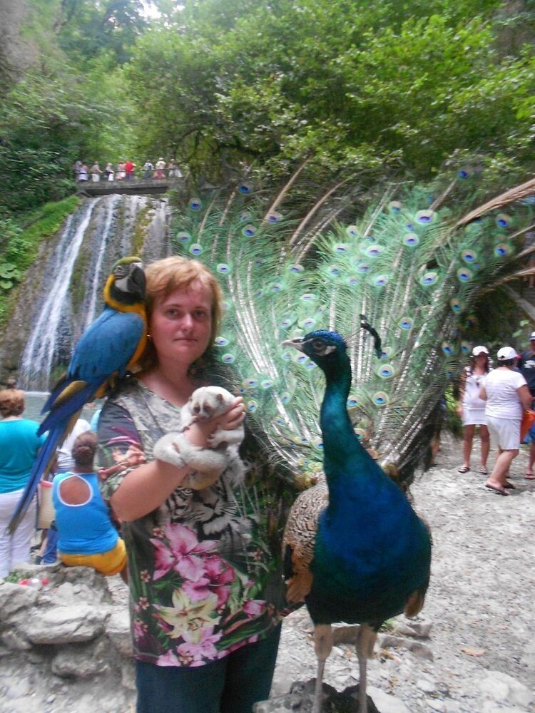 ���������� ������, ���� ������� ���, 36 ���, ������������ 