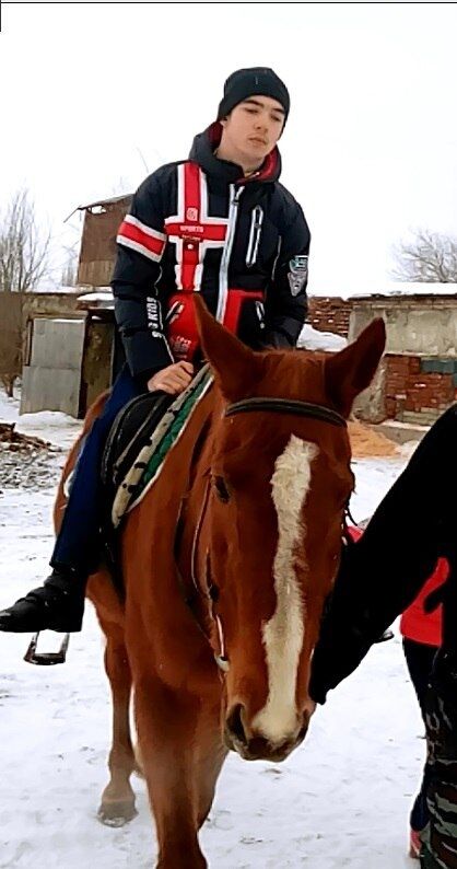 ���� 24549459 ����� ����, 24 ����, ���� ���������� � ��������