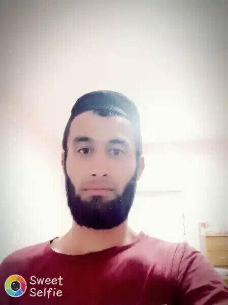  33716849  , 30 ,    -