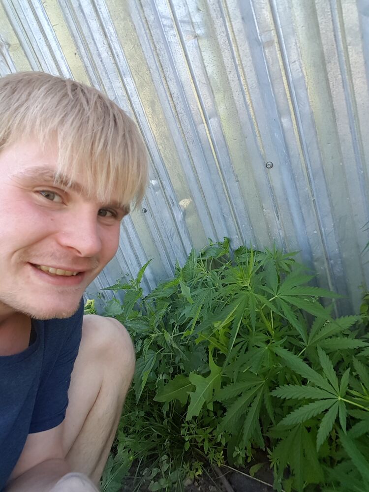 ���� 27293109 ������� ����, 30 ���, ���� ���������� � ����������