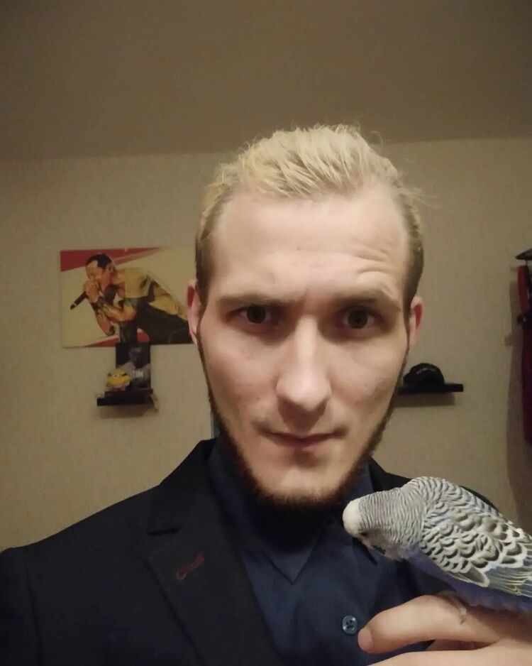  29577409  , 30 ,    -