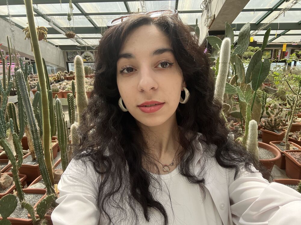 ���������� ������, ���� ������� �����, 23 ����, ������������ ��� ������, ����� � ���������, ���������