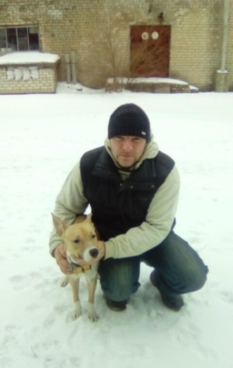 ���������� ������, ���� ������� �������, 40 ���, ������������ ��� ������, ����� � ���������, c�������� ���������