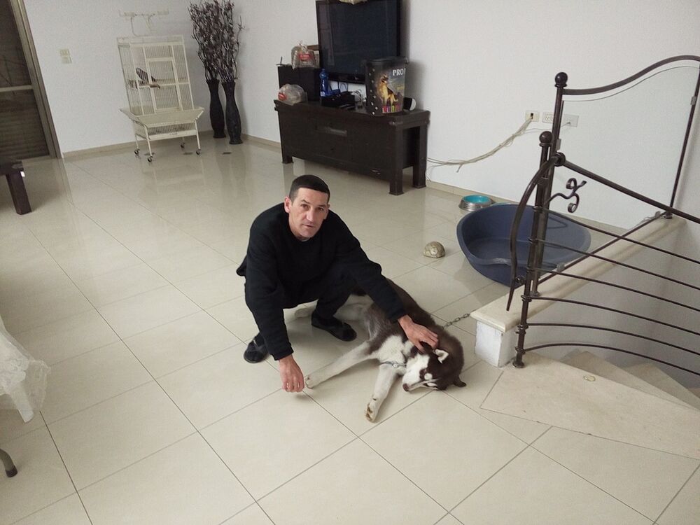  ,   Vladimir, 51 ,   ,   , c 