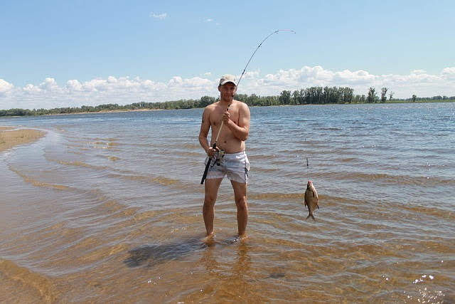 ���� 24433529 ������� ������, 38 ���, ���� ���������� � ������