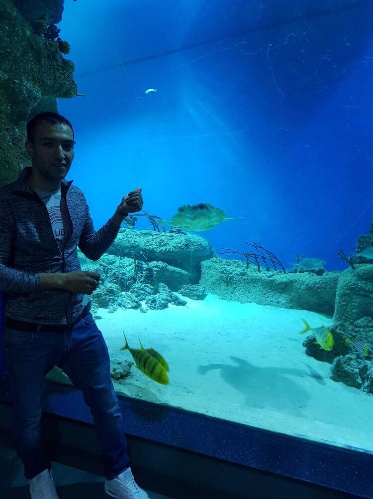 ���� 23490129 ������� �����, 32 ����, ���� ���������� � ������