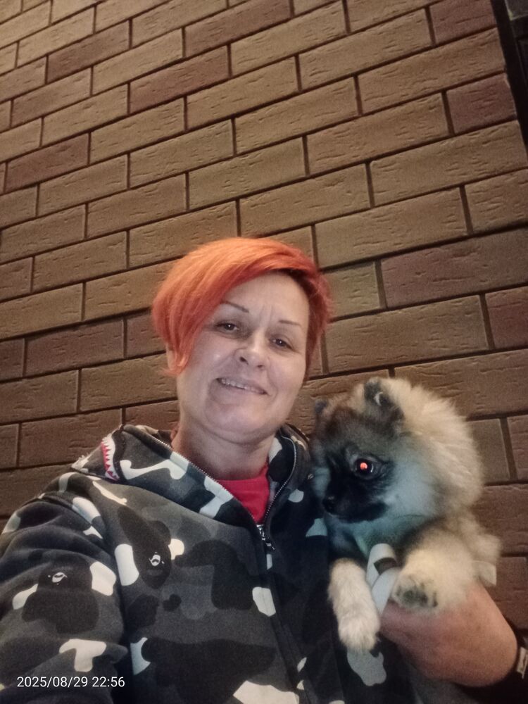 ���������� ��������, ���� ������� ������, 52 ����, ������������ ��� ������, ����� � ���������, c�������� ���������, ���������