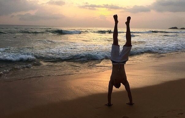 ���� 8309059 ������� ������, 38 ���, ���� ���������� � �������