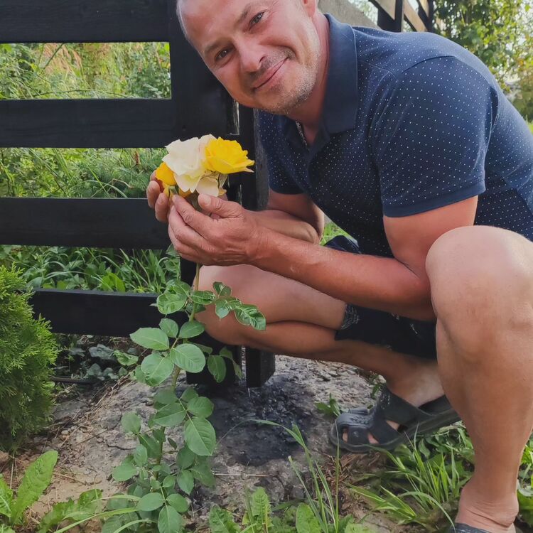  ,   , 46 ,  
