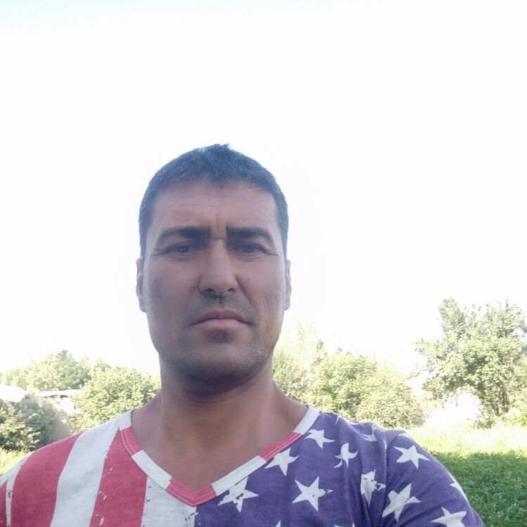  23115919  , 48 ,    