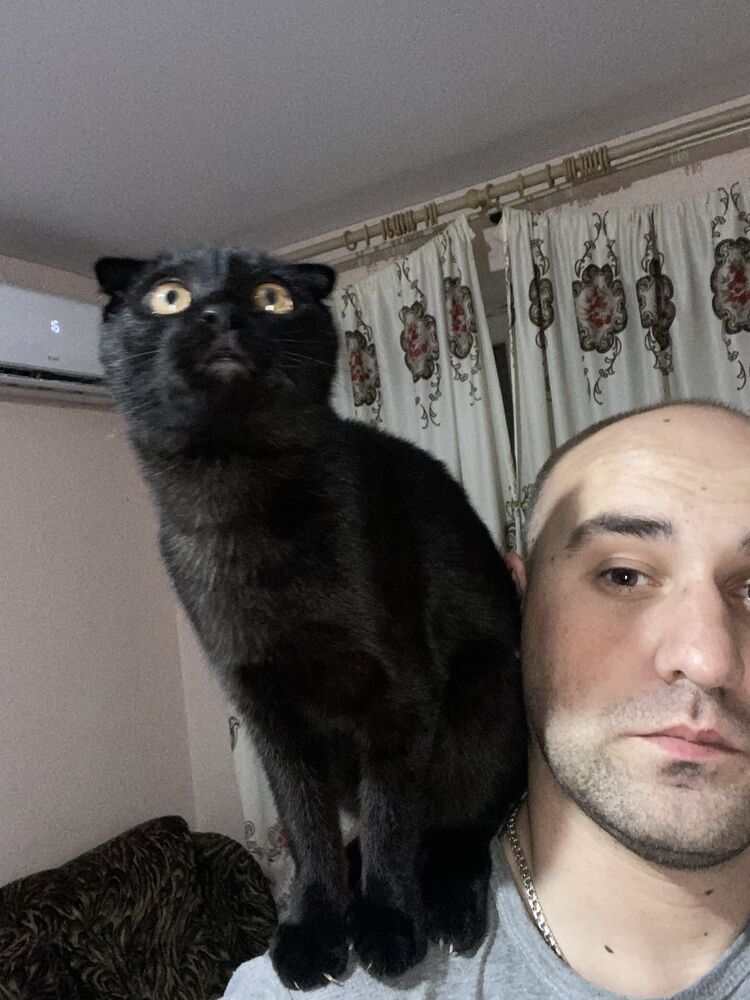 ���������� ���������, ���� ������� ������, 32 ����, ������������ ��� ������, ����� � ���������, c�������� ���������, ���������